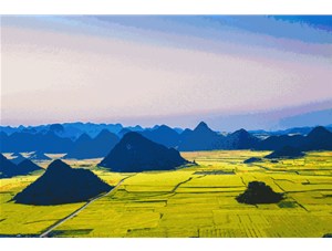 菜籽的收獲季節(jié)到了! 遍地黃花，清香飄田野~