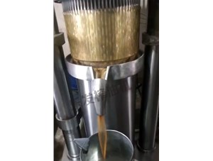 茶籽榨油機-免費安裝調試樂發(fā)牌液壓榨油機
